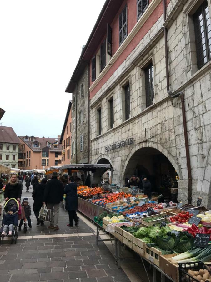 Апартаменты La Perle De La Vieille Ville D'Анси Экстерьер фото